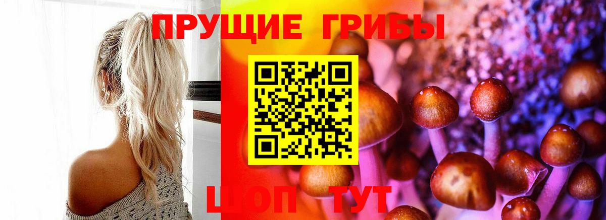 Псилоцибиновые грибы мицелий  Вход с VPN  Урюпинск 